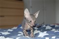 DSC_0105.JPG