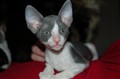DSC_0157.JPG